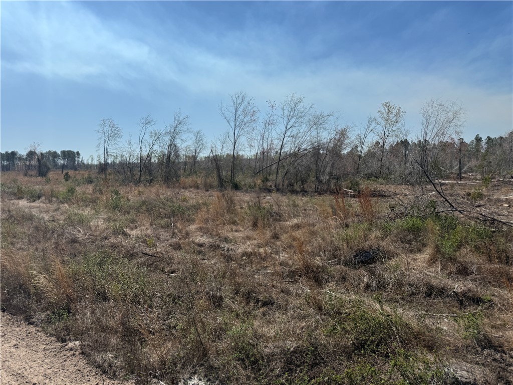 -35.01 Acres) Bacon School Road Alma, GA 31510 - Photo 14 of 19