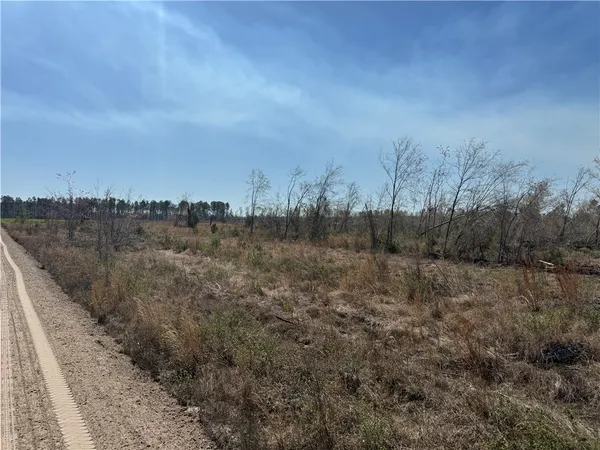 $210,000 | -35.01 Acres) Bacon School Road, Alma, GA 31510