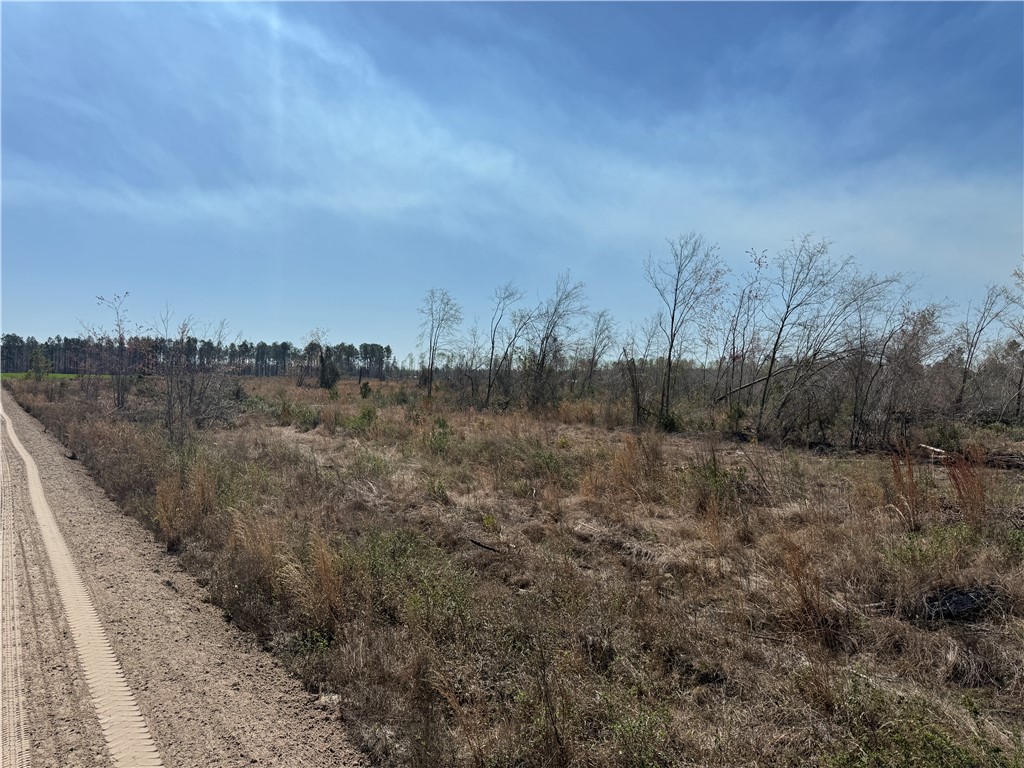 -35.01 Acres) Bacon School Road Alma, GA 31510 - Photo 15 of 19