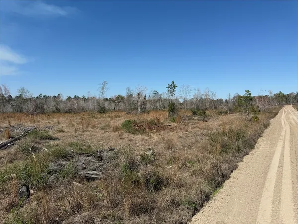 $210,000 | -35.01 Acres) Bacon School Road, Alma, GA 31510