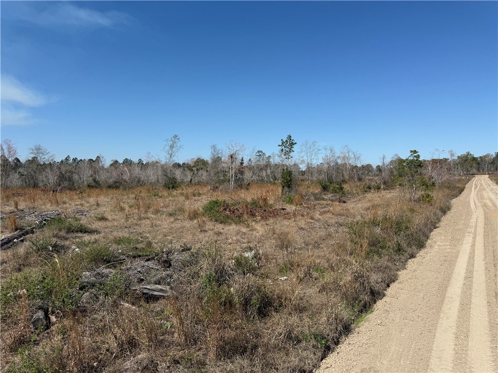 -35.01 Acres) Bacon School Road Alma, GA 31510 - Photo 16 of 19