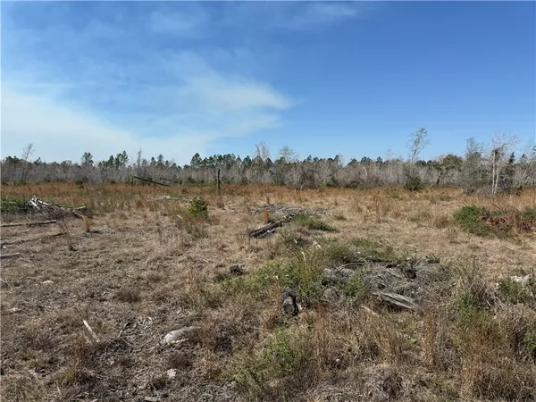 $210,000 | -35.01 Acres) Bacon School Road, Alma, GA 31510