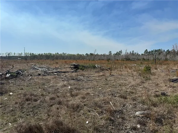 $210,000 | -35.01 Acres) Bacon School Road, Alma, GA 31510