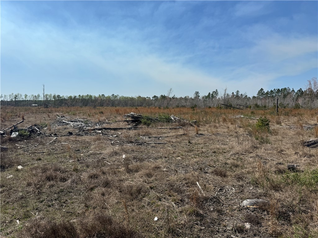 -35.01 Acres) Bacon School Road Alma, GA 31510 - Photo 18 of 19