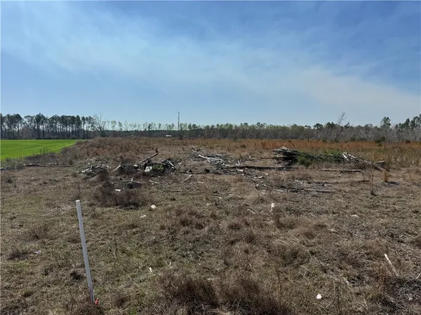 $210,000 | -35.01 Acres) Bacon School Road, Alma, GA 31510