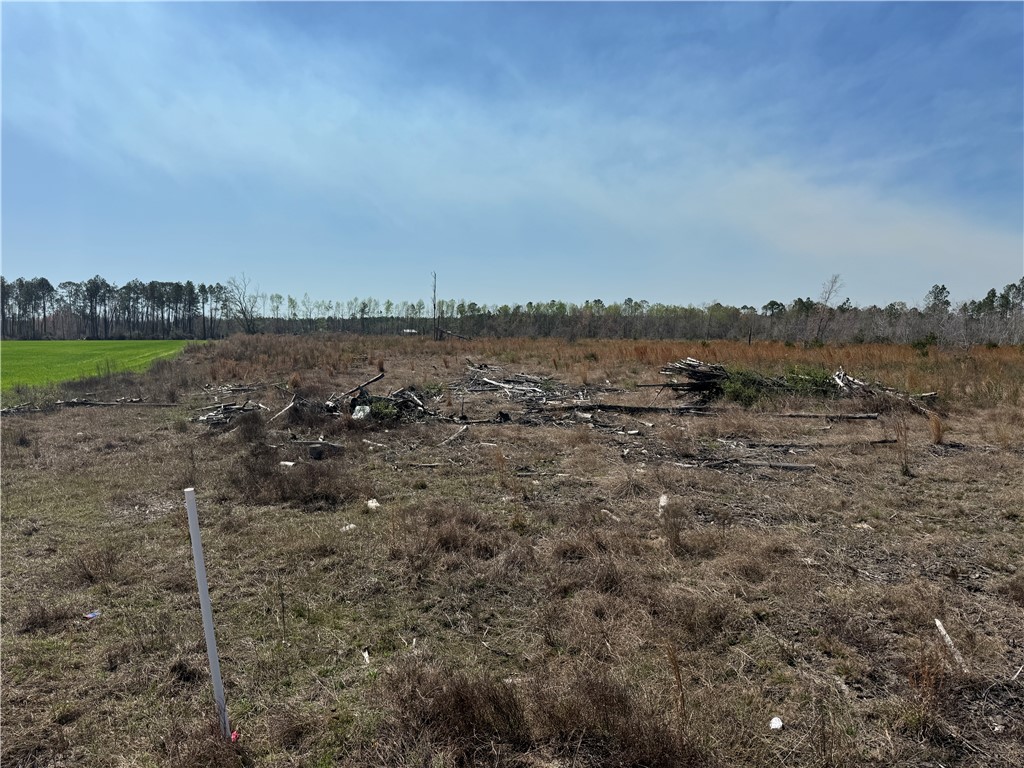 -35.01 Acres) Bacon School Road Alma, GA 31510 - Photo 19 of 19