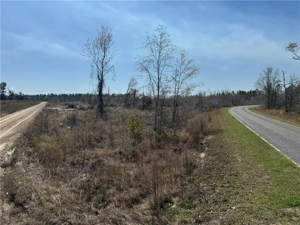 $210,000 | -35.01 Acres) Bacon School Road, Alma, GA 31510