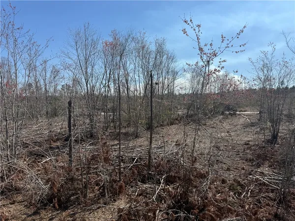 $210,000 | -35.01 Acres) Bacon School Road, Alma, GA 31510