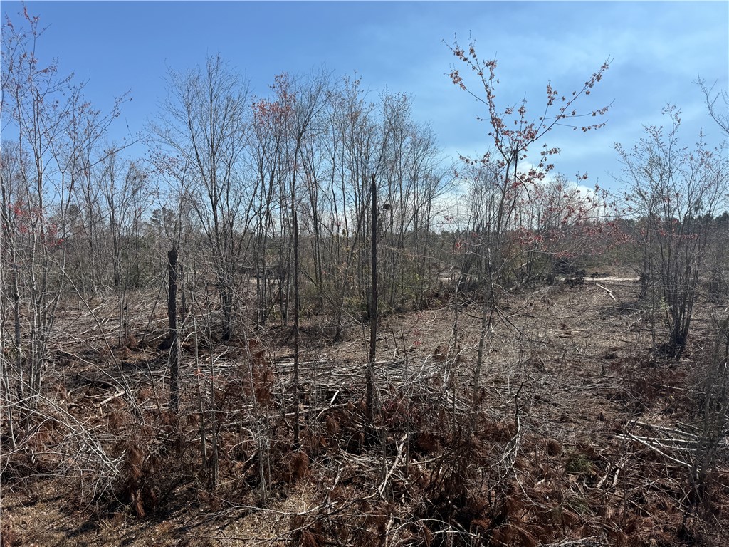 -35.01 Acres) Bacon School Road Alma, GA 31510 - Photo 4 of 19