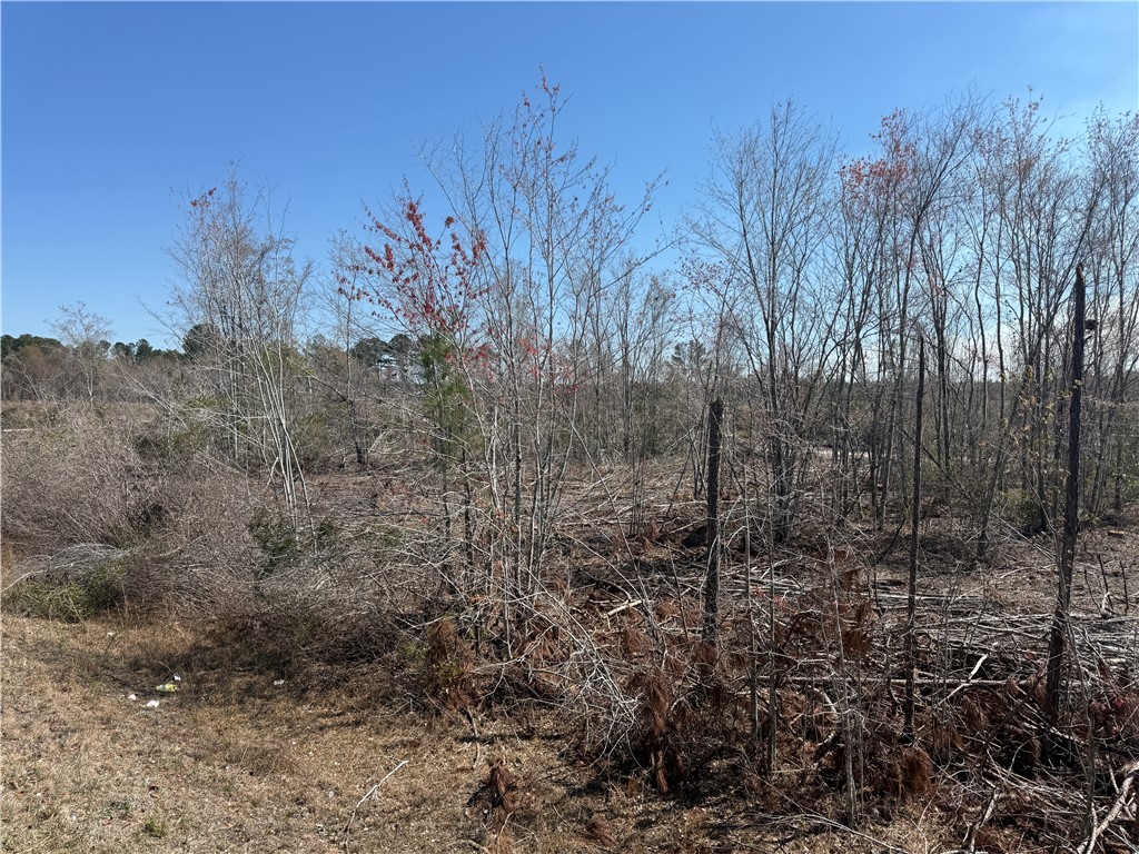 -35.01 Acres) Bacon School Road Alma, GA 31510 - Photo 5 of 19