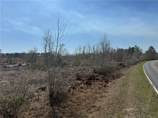 $210,000 | -35.01 Acres) Bacon School Road, Alma, GA 31510