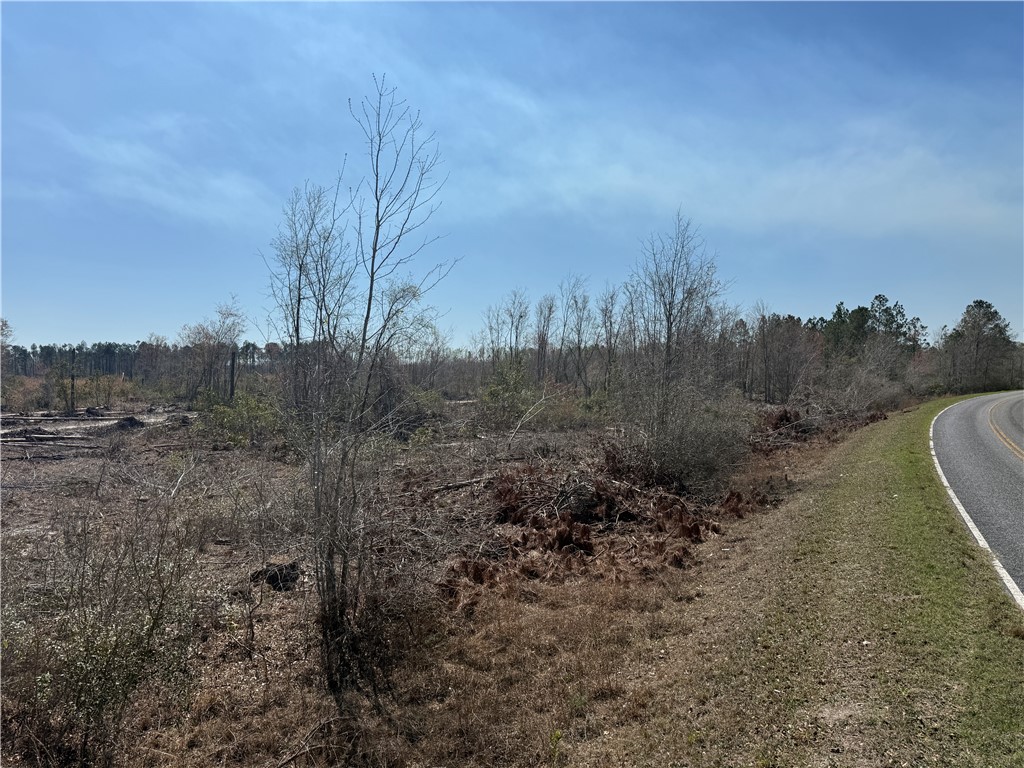 -35.01 Acres) Bacon School Road Alma, GA 31510 - Photo 6 of 19