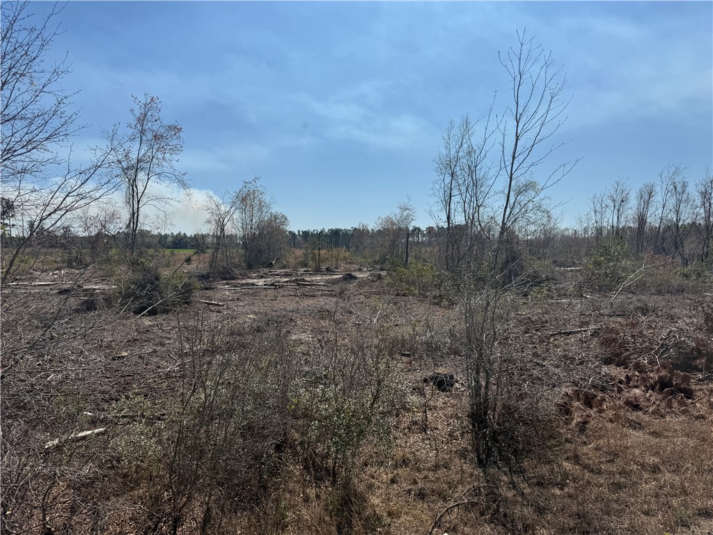 -35.01 Acres) Bacon School Road Alma, GA 31510 - Photo 7 of 19