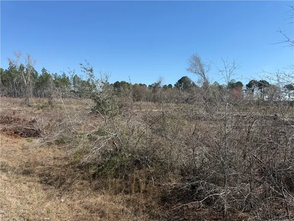 $210,000 | -35.01 Acres) Bacon School Road, Alma, GA 31510