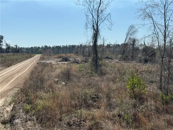 $210,000 | -35.01 Acres) Bacon School Road, Alma, GA 31510