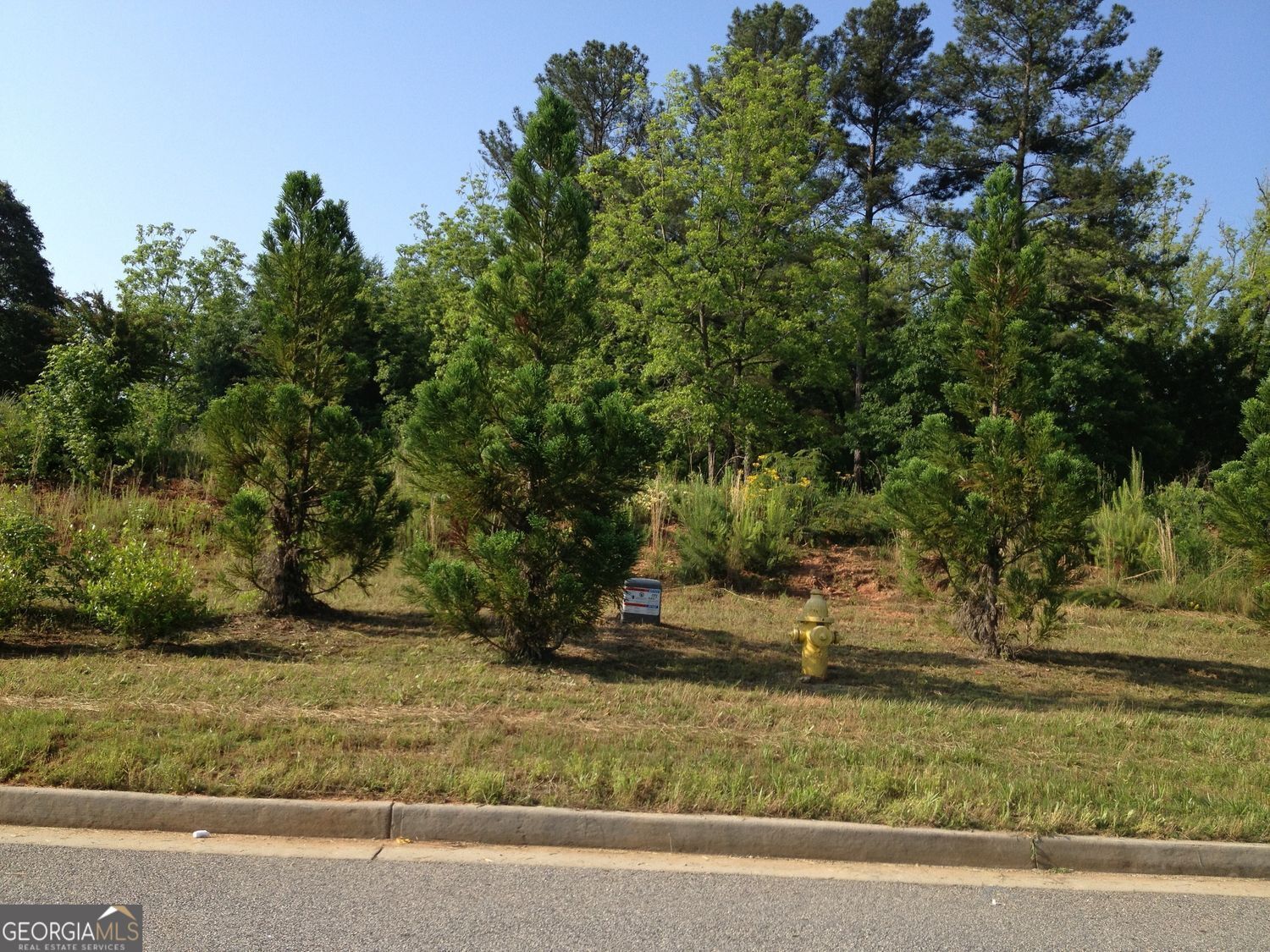 1002 Queens Bridge Griffin, GA 30223 - Photo 4 of 8 a view of a yard