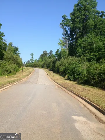 a view of a road with a yard