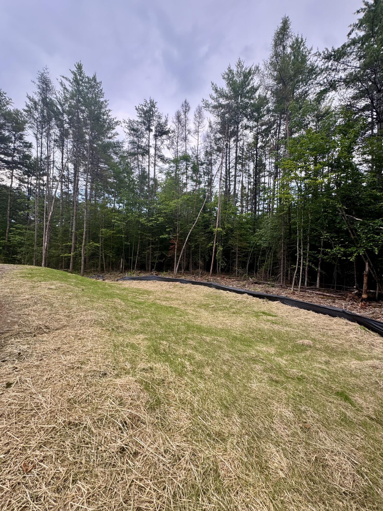 Lot 10 Old Norridgewock Road Fairfield, ME 04937 - Photo 6 of 7 IMG_4717