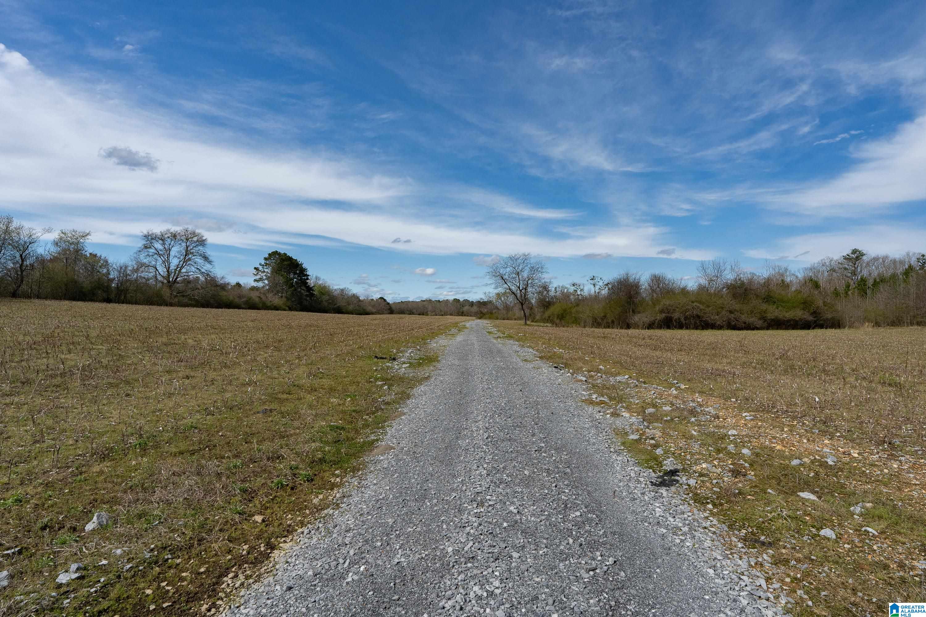 Bates Road, Unit 100 Vincent, AL 35178 - Photo 22 of 29