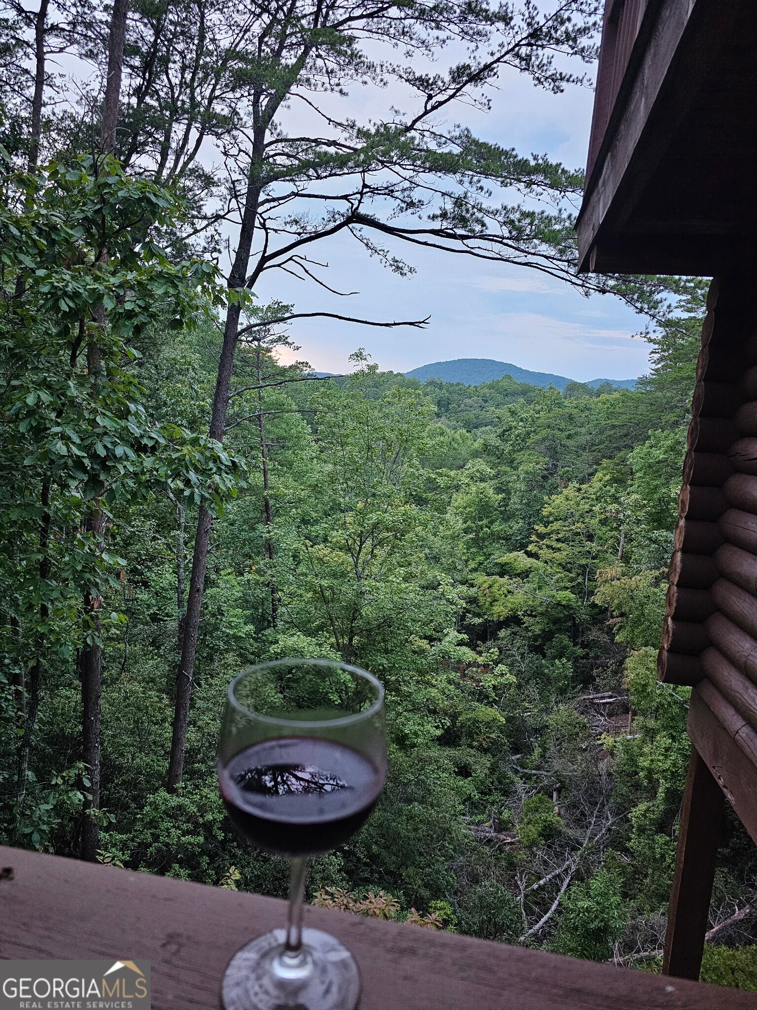 451 Pinecrest Road Sautee Nacoochee, GA 30571 - Photo 60 of 61