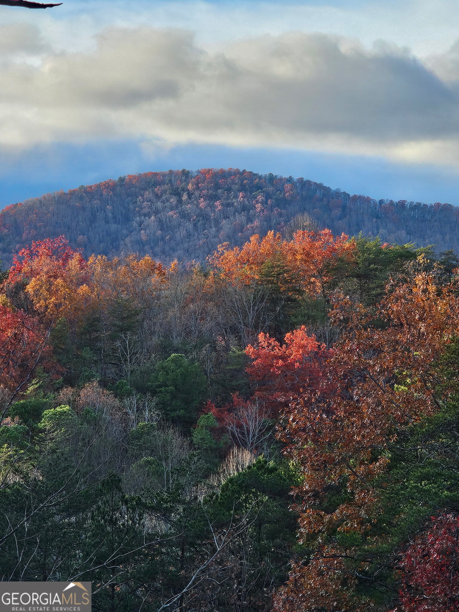 451 Pinecrest Road Sautee Nacoochee, GA 30571 - Photo 61 of 61
