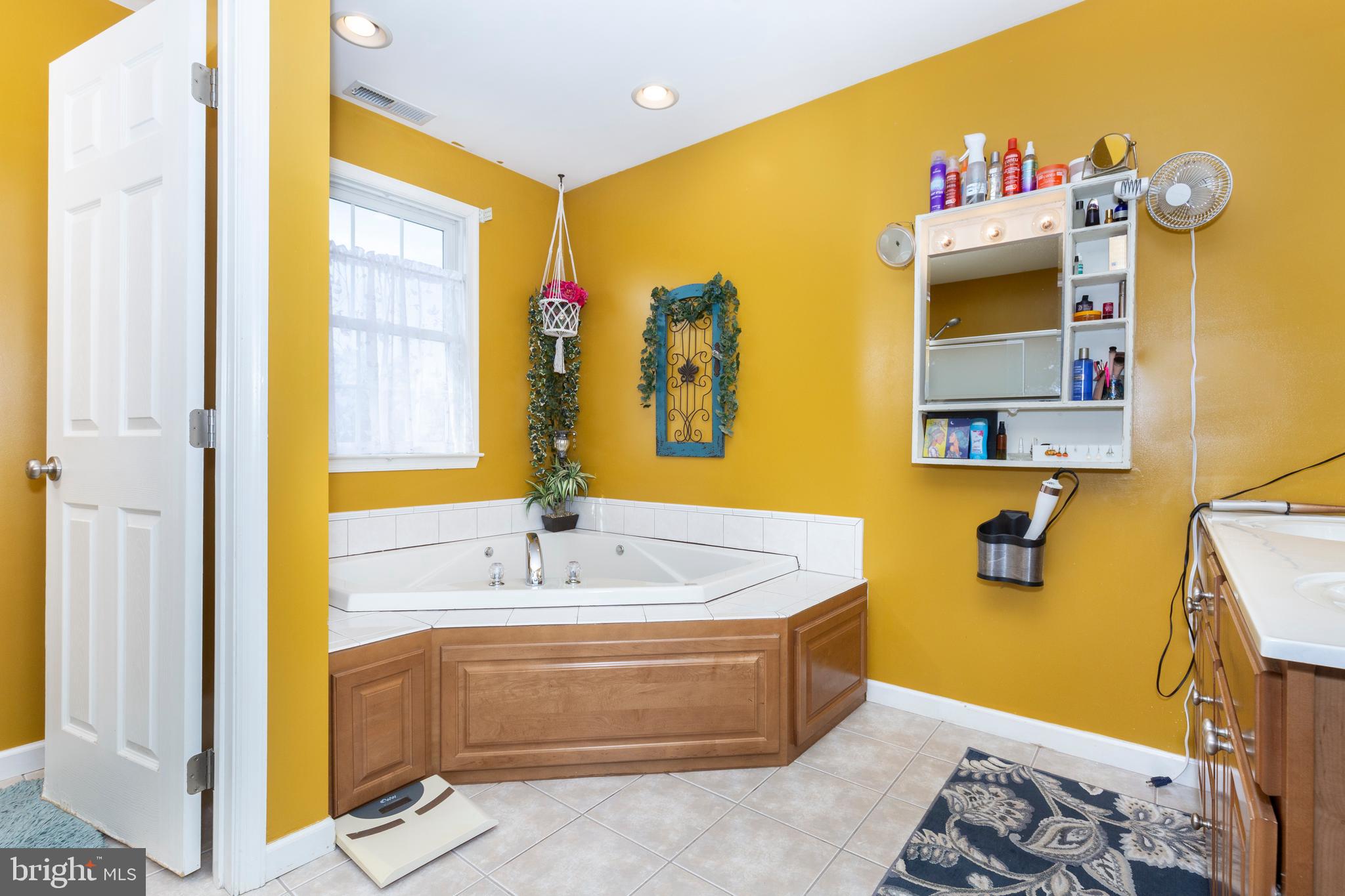 128 Pine Grove Road Hanover, PA 17331 - Photo 32 of 93 Owners bath