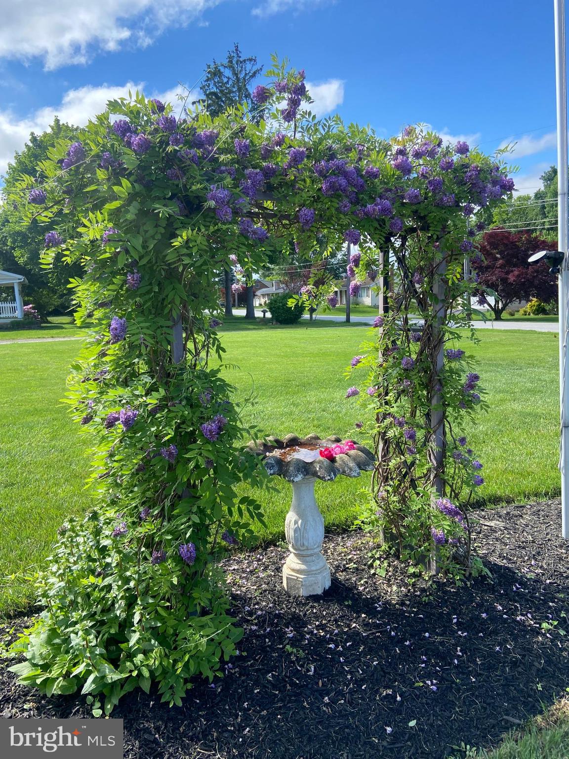 128 Pine Grove Road Hanover, PA 17331 - Photo 56 of 93 a view of a flower in a garden