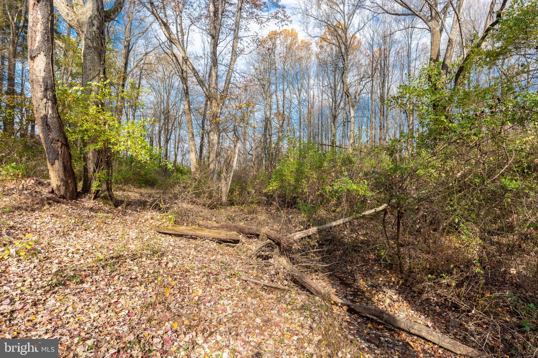 128 Pine Grove Road Hanover, PA 17331 - Photo 83 of 93 a backyard of a house with lots of green space