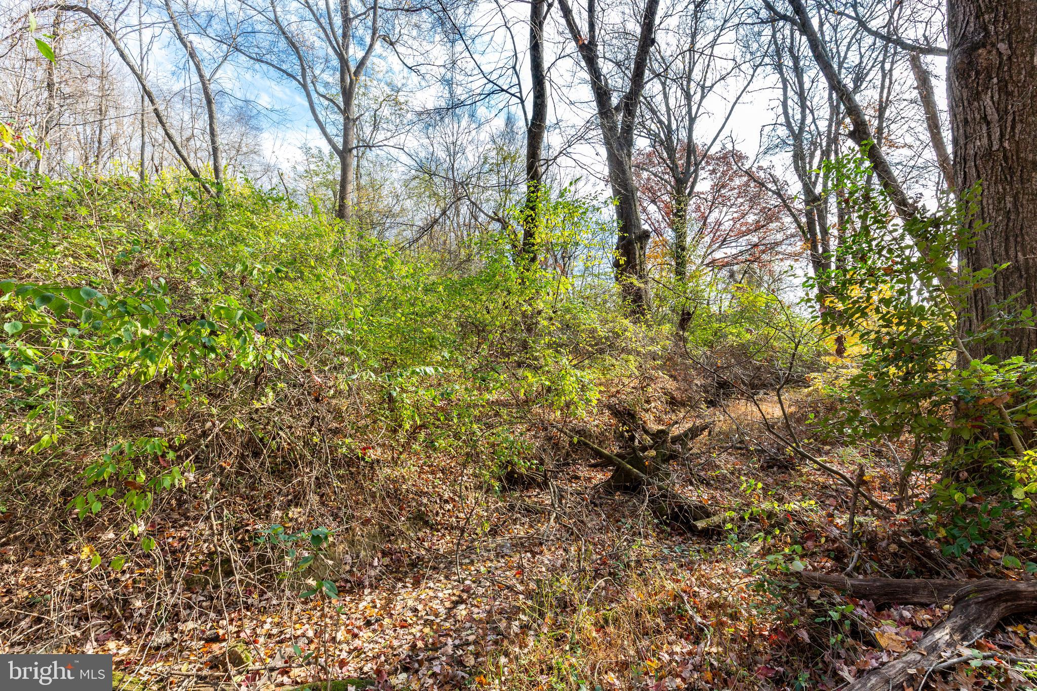 128 Pine Grove Road Hanover, PA 17331 - Photo 84 of 93 a view of a yard with plants and trees