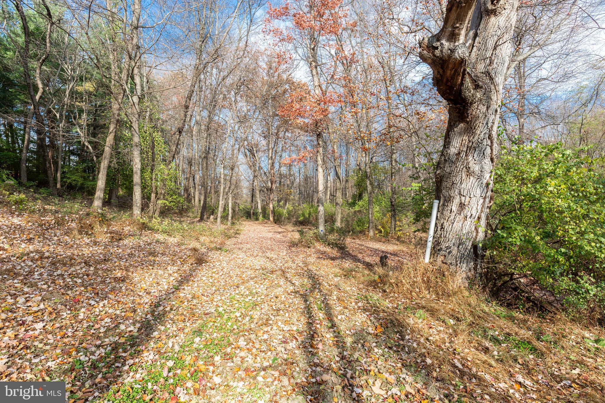 128 Pine Grove Road Hanover, PA 17331 - Photo 85 of 93 a backyard of a house with lots of green space