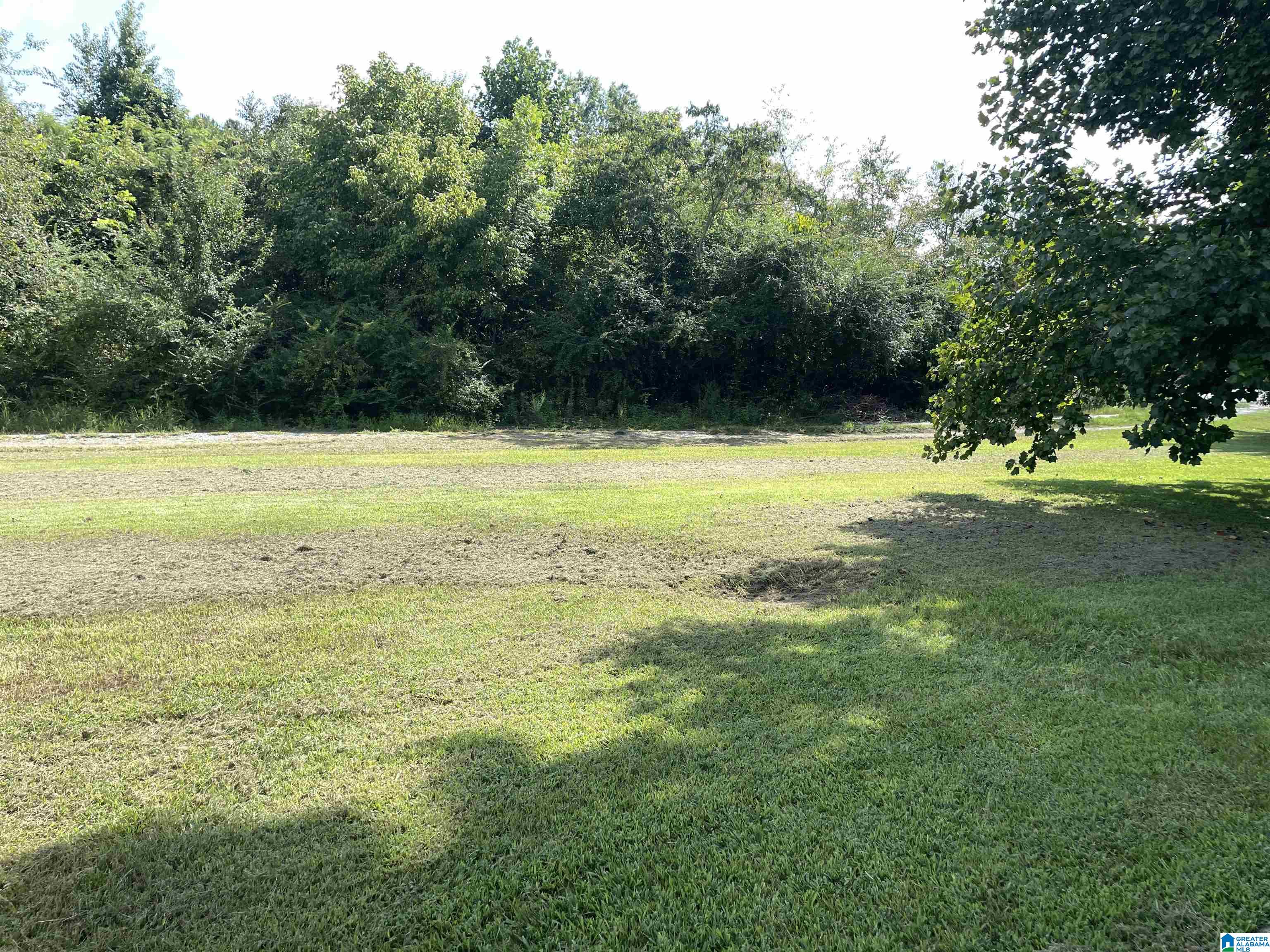 22 Thurman Road Talladega, AL 35160 - Photo 39 of 43