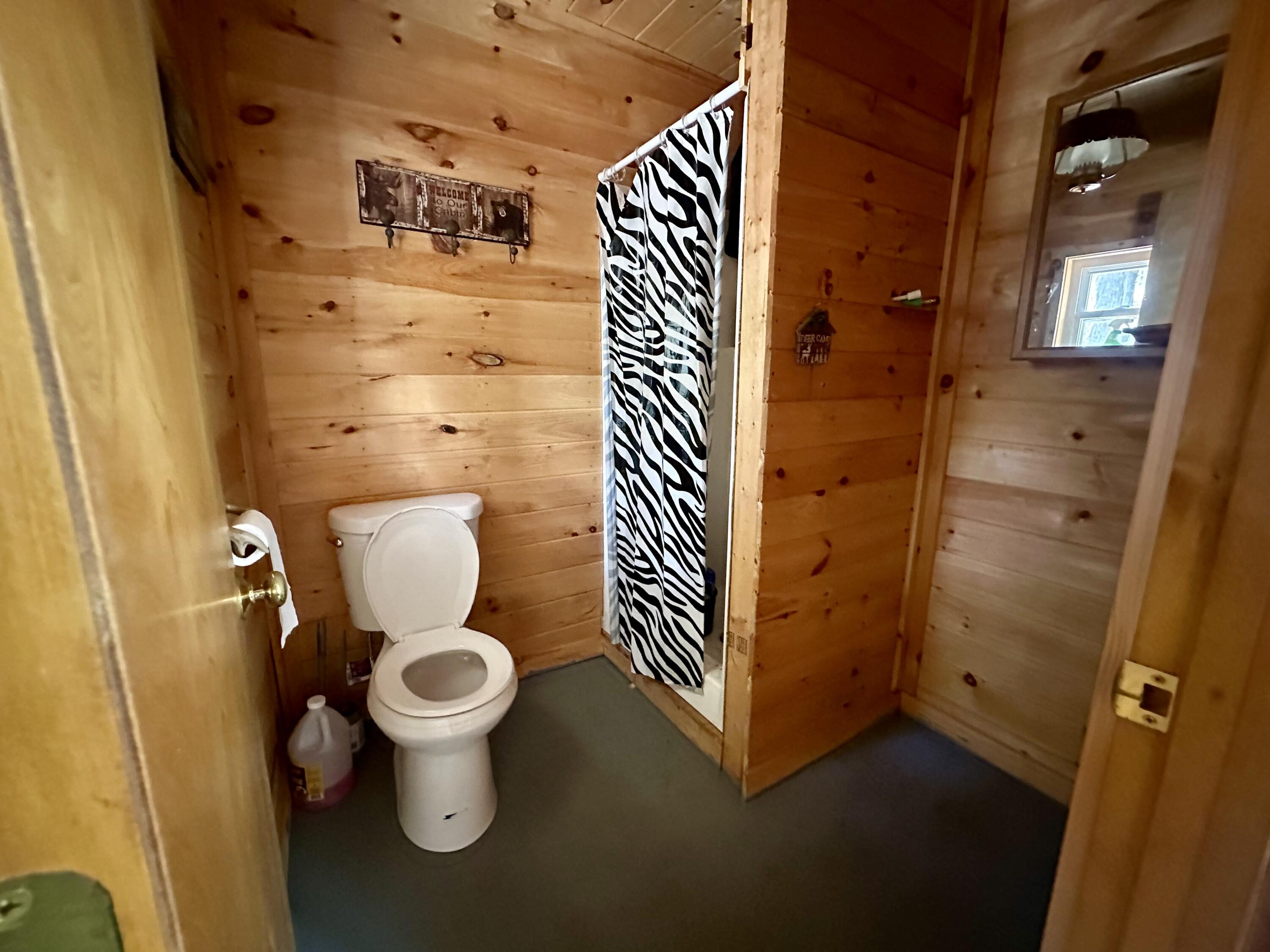 42 Cyrs Siding Road St. Albans, ME 04971 - Photo 22 of 38 IMG_4765