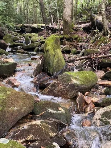 a picture of city view with lake view