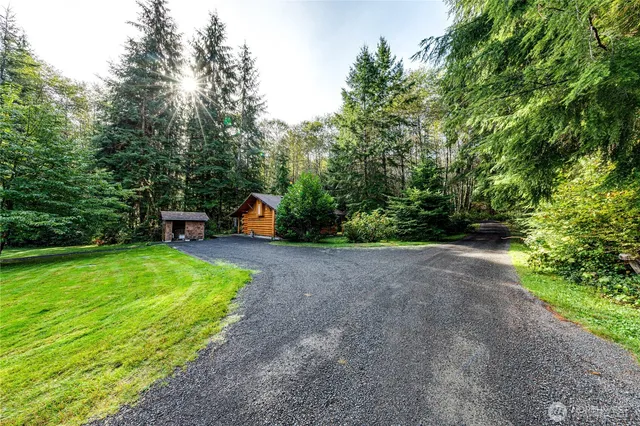 a view of a park with large trees