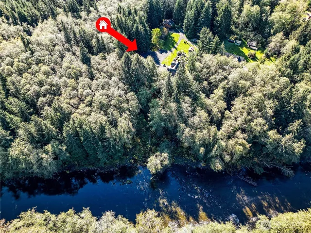 a view of a flower in a yard