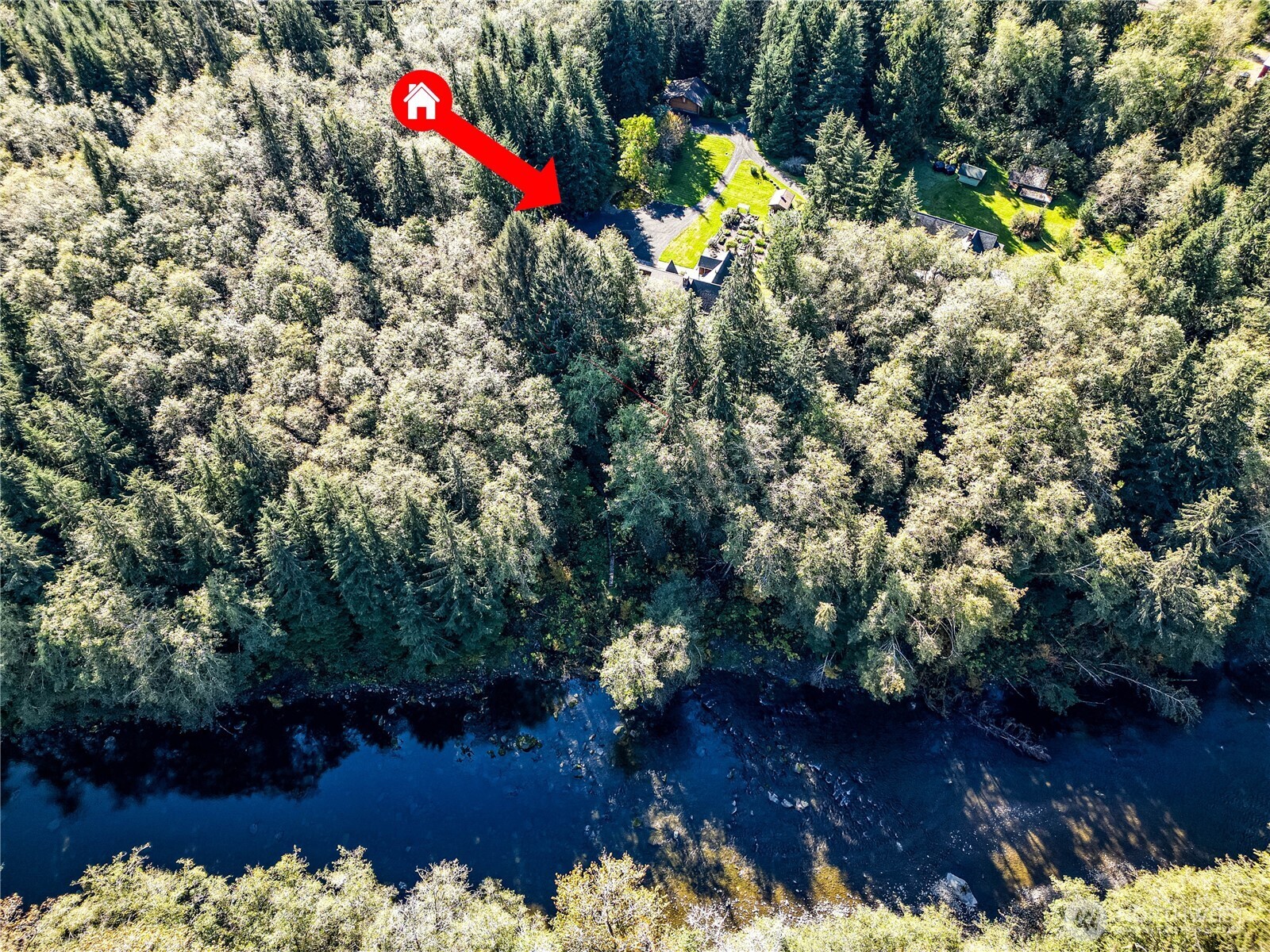 107 Dowan Creek Road Forks, WA 98331 - Photo 37 of 40 a view of a flower in a yard