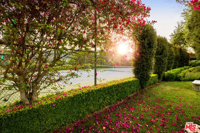 a view of a park with large trees