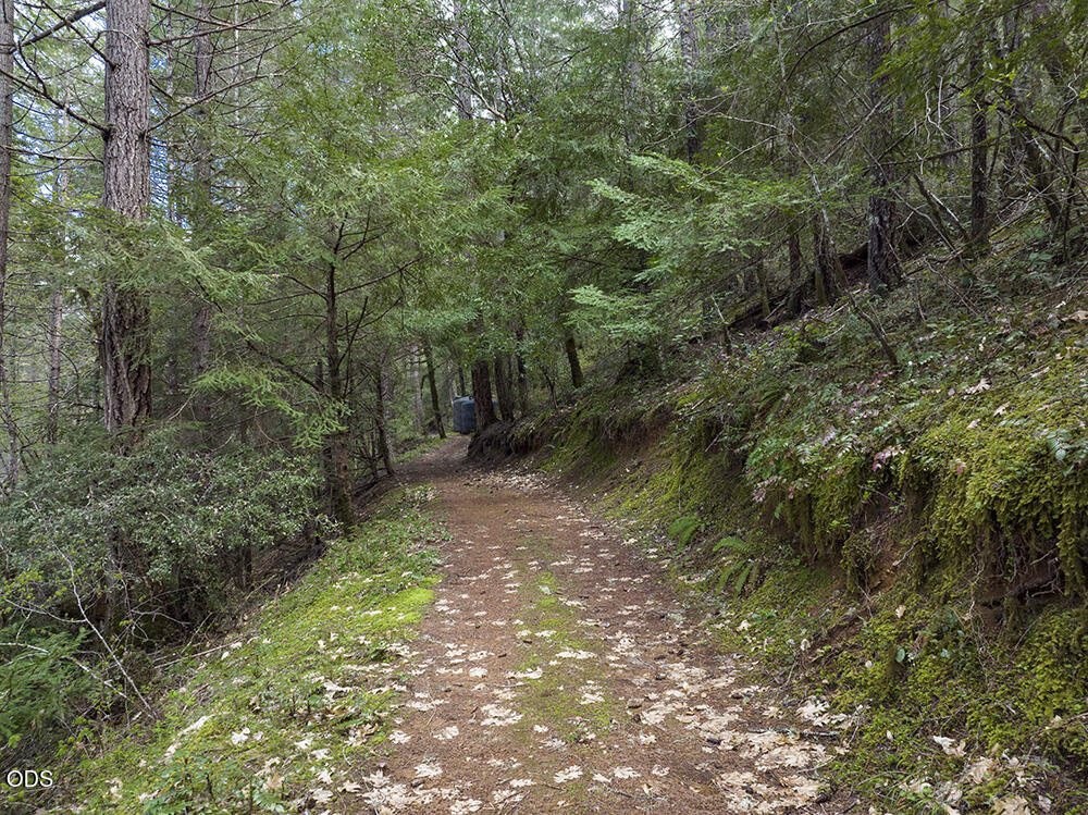 910 Reeves Creek Road Selma, OR 97538 - Photo 45 of 73