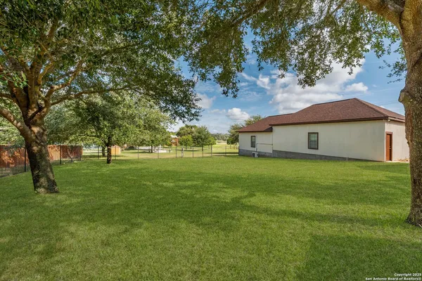 a view of a large trees with a big yard