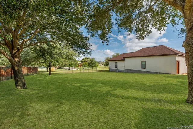 a view of a large trees with a big yard