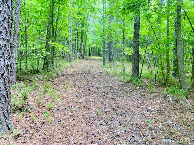 0 Pete Johnson Road Tignall, GA 30668 - Photo 19 of 43