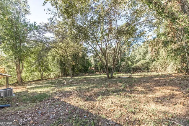 a view of a yard with a tree
