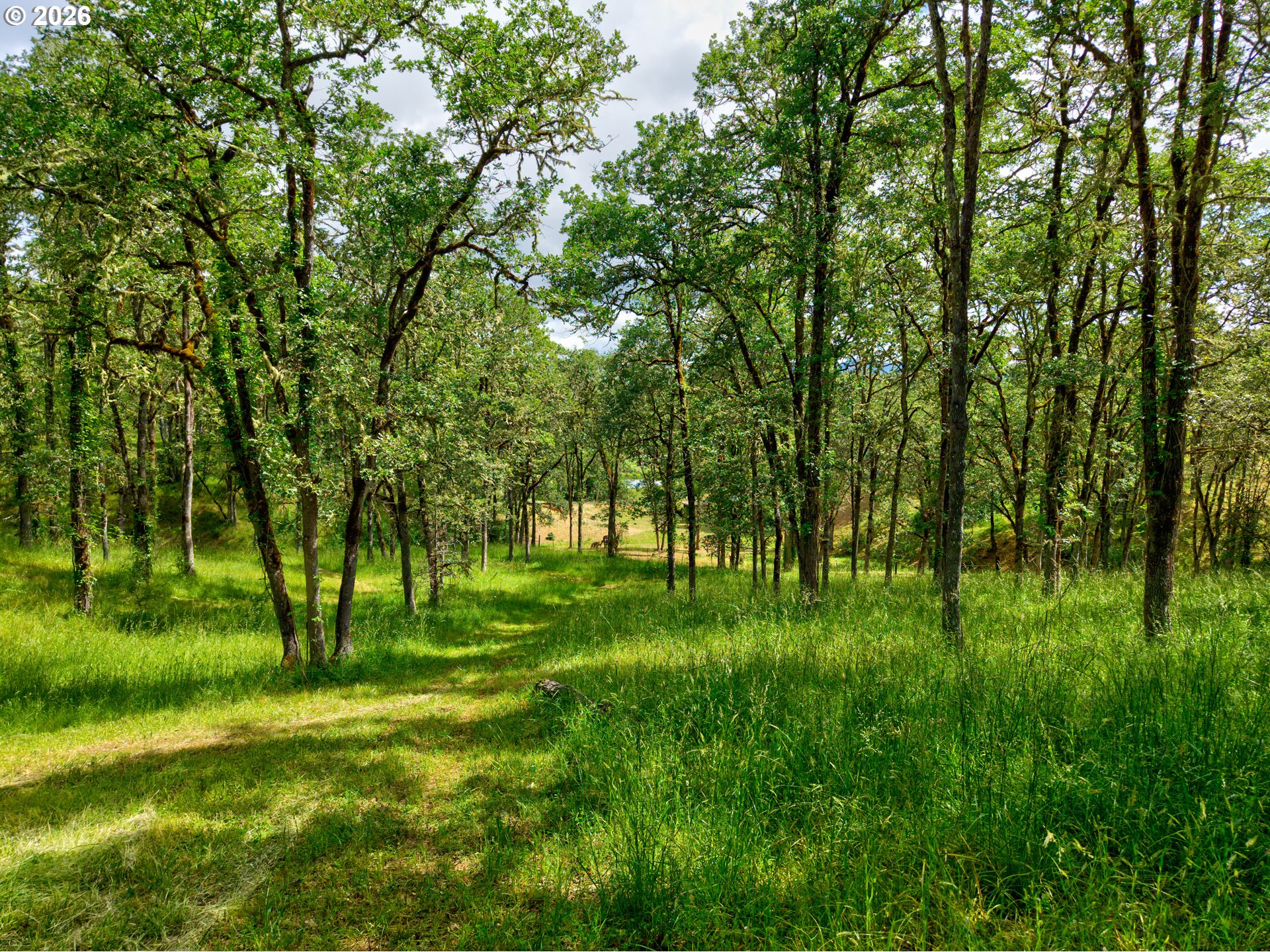 445 Green Valley Road Oakland, OR 97462 - Photo 43 of 48