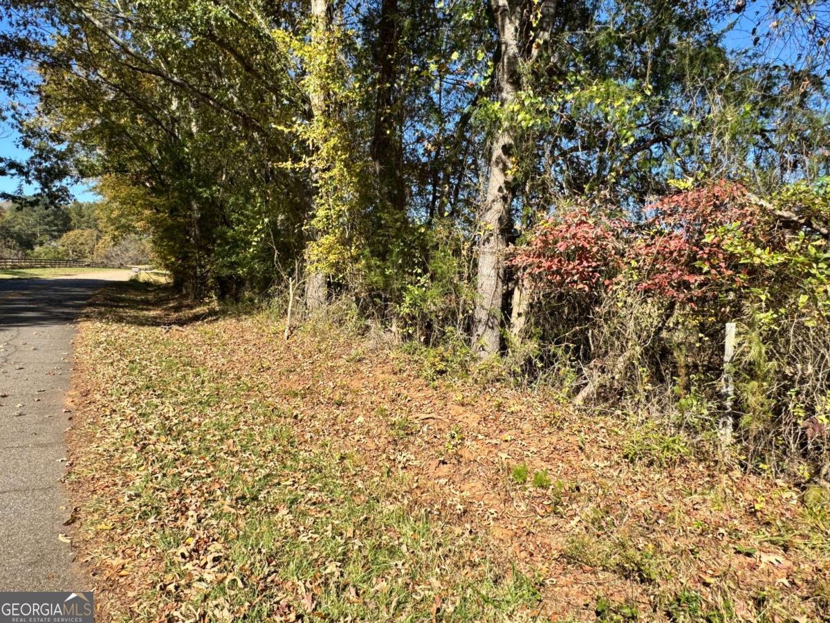 2 Taylor Road Lexington, GA 30648 - Photo 5 of 10