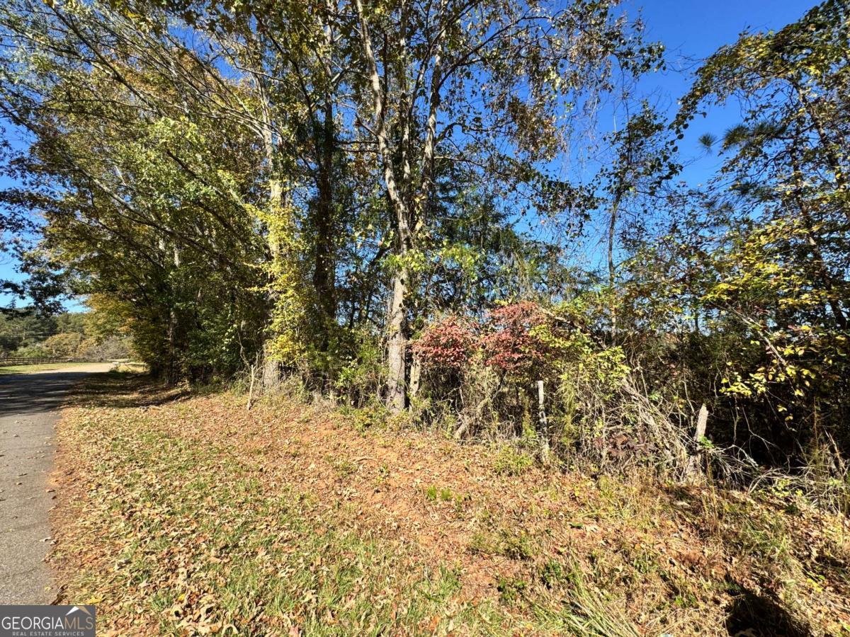 2 Taylor Road Lexington, GA 30648 - Photo 8 of 10