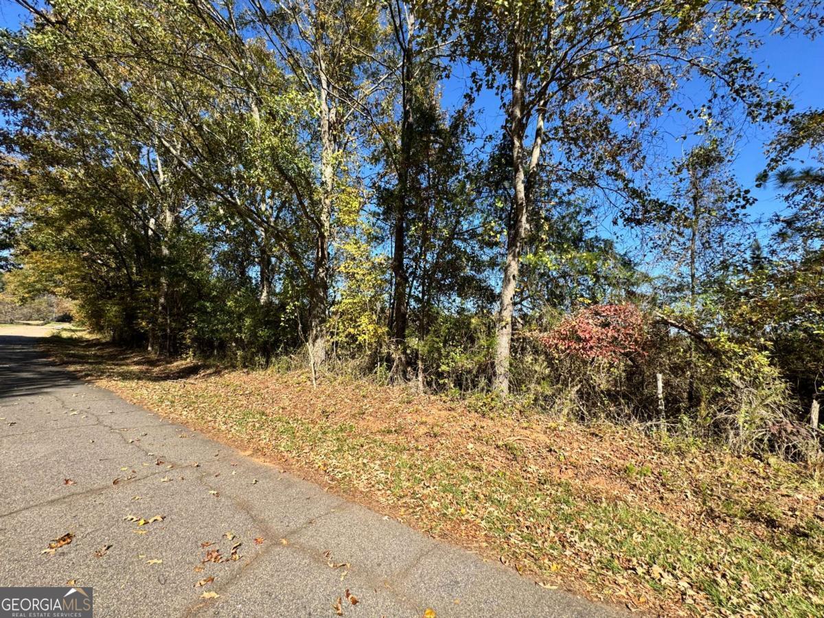 2 Taylor Road Lexington, GA 30648 - Photo 9 of 10