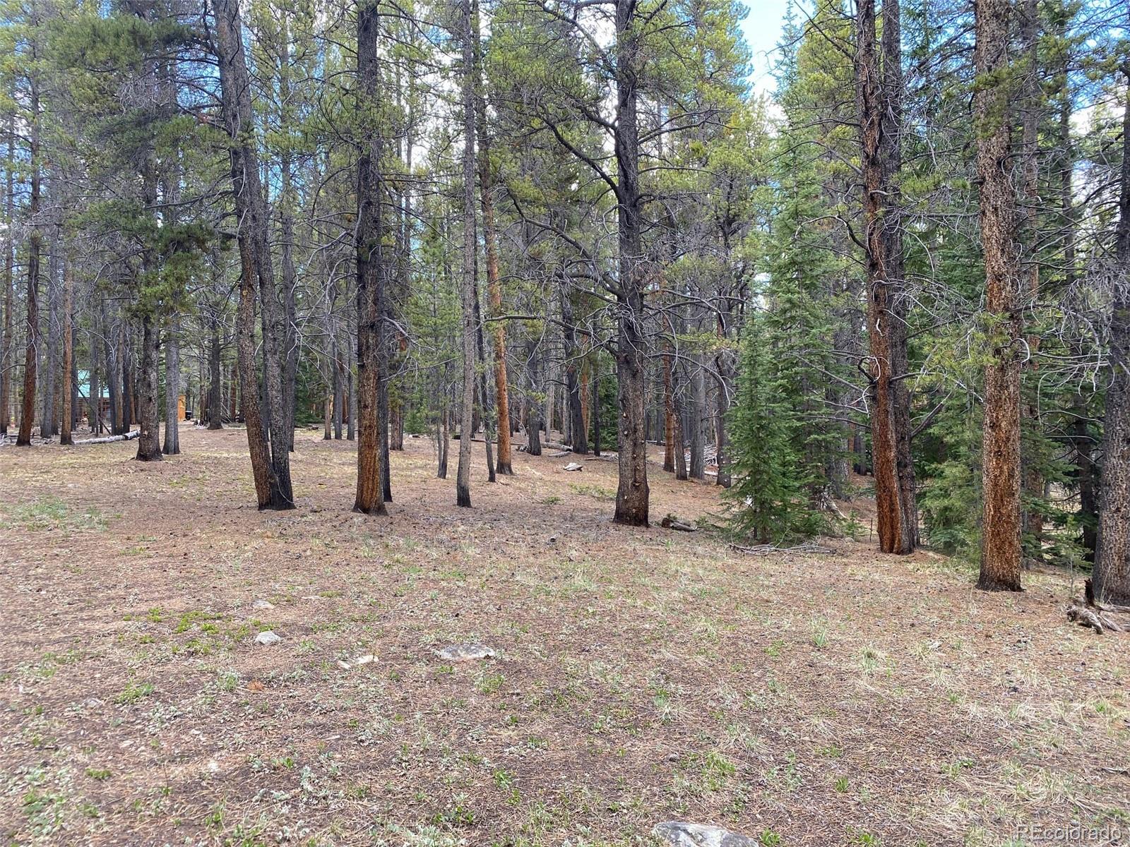 a view of outdoor space with trees