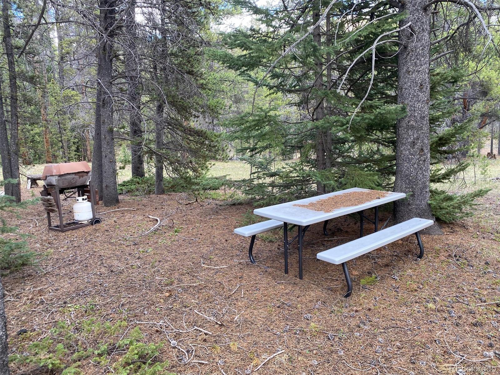 50 County Road Como, CO 80432 - Photo 17 of 25 a backyard of a house with table and chairs