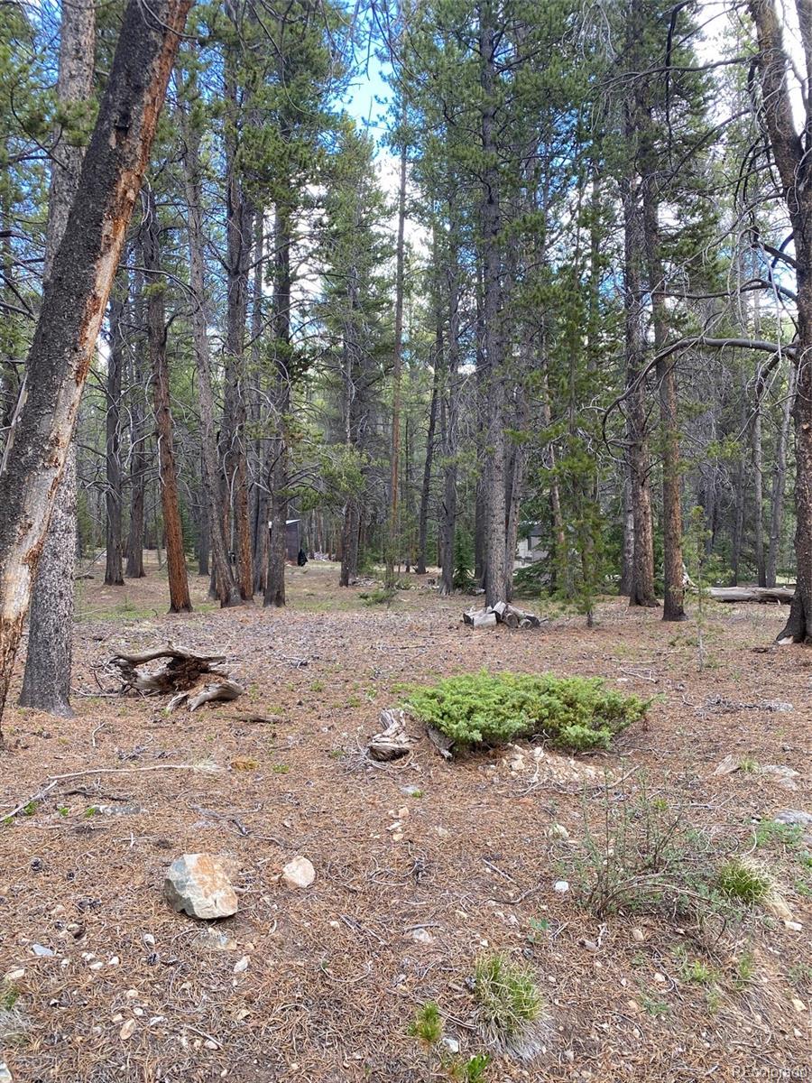 50 County Road Como, CO 80432 - Photo 18 of 25 a view of outdoor space with trees
