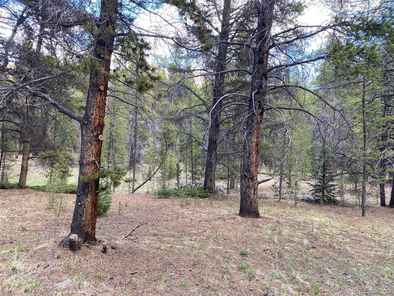 50 County Road Como, CO 80432 - Photo 20 of 25 a view of outdoor space with trees